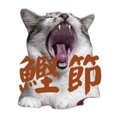 nob_20241115191621