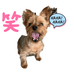 katan_20241115223359