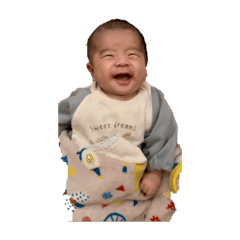 maichi_20241116155240