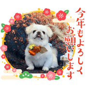 takuya.t_20241116163132
