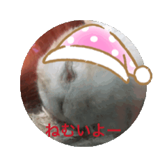 日常のSanta