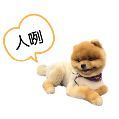 球球調皮日記