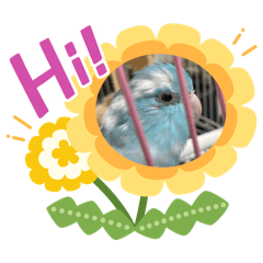 BB_20241117113612