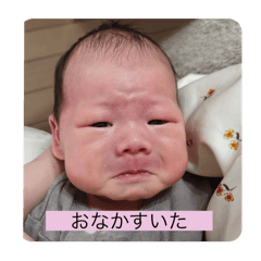 yuitan_20241117133203