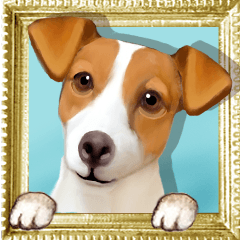 [Jack Russell Terrier] Pop-up!