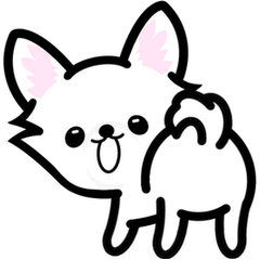 love white chihuahua