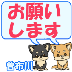 Sofukawa's letters Chihuahua2