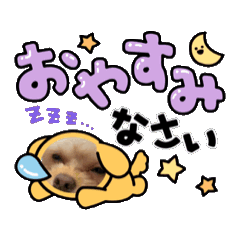 MAH_20241118093458