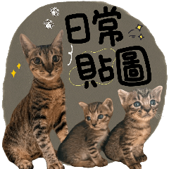 Cute stickers of kittens