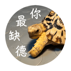 天天學院-缺德篇