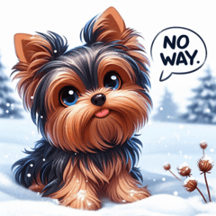 Snowy Yorkshire Terrier Stickers@SFW