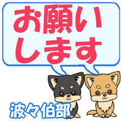 Houkabe's letters Chihuahua2