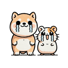 Shiba & Hammy Days