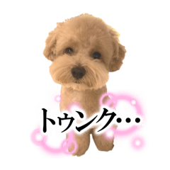 emi.sano_20241116235356