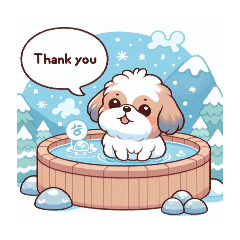 Hot spring, Shih Tzu, daily use