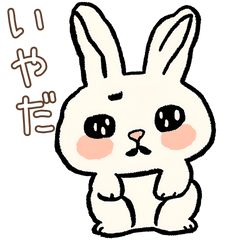 Everyday Bunny: Daily Life Messages