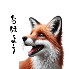 Real foxes [Everyday life]