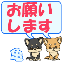 Kame's letters Chihuahua2