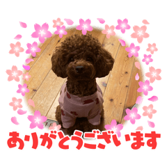 Shuri Teramura_20241117220820