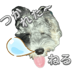 Pirako_20241117225322