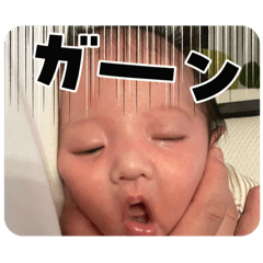 katsu._20241117202818