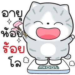 Munkaew little cat V.58 (like to eat)