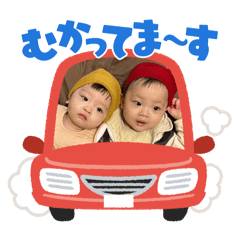 ripipi_20241118145246