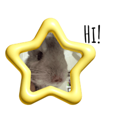 Pladao_20241118133156