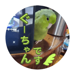 sayuri_20241118122943