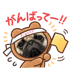 pug okoge_20241118110304