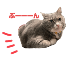 murakamisan_20241118125503