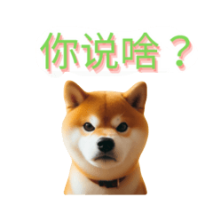 Useful Chinese sticker with shibainu