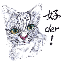 Leopard Cat Bring Money_life terms