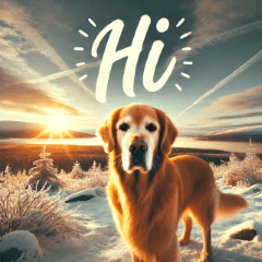 Cute New Year's Sunrise Golden Retrieve2