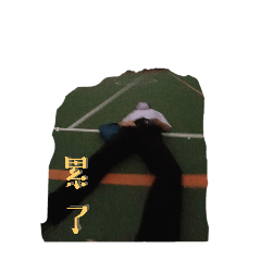 菜采意外