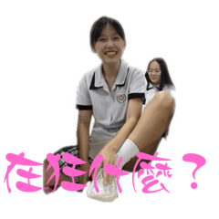 驢子菌