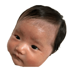 mamp_20241119052447