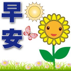 Cute sunflower- practical daily phrases