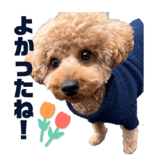 Mizzzz_20241118225437