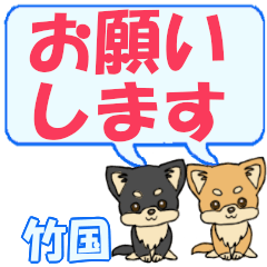 Takekuni's letters Chihuahua2