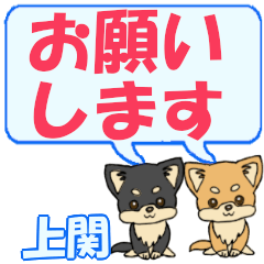 Uwaseki's letters Chihuahua2