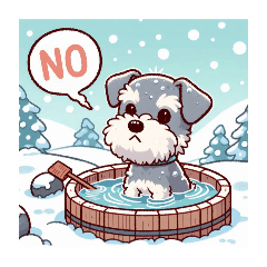 Hot spring, miniature schnauzer 2