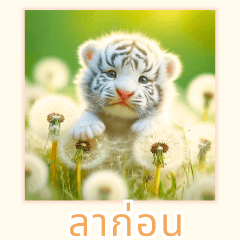 Mini White Tiger Collection1:Thai