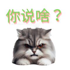 Useful Chinese sticker with cats.