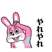 keecoo_20241119100136