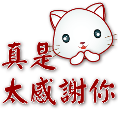 Cute white cat-Common phrases-workplace