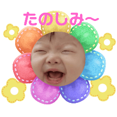 hoppe_20241119141653
