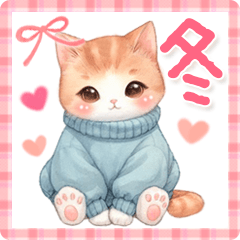 cute and useful-winter-cat