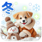 winter corgi kizukai