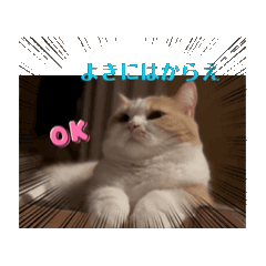 uni_don_20241119191327
